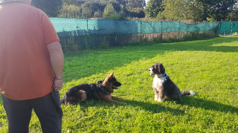 Negocio Comunicanis Educadora Canina Y Veterinaria