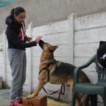 Conperros Educación Canina Amable – Guardería Canina en Salamanca