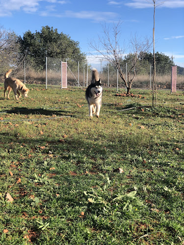 Negocio Cuatro Patas | Residència Canina