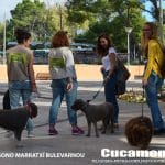 Cucamona Sportdogmallorca – Guardería Canina en Mariora
