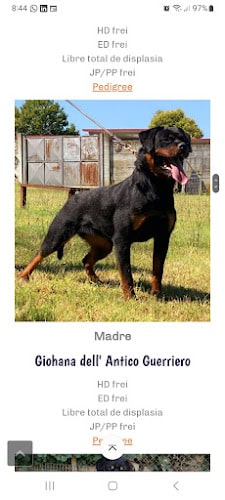 Negocio Daviscan Guarderia Canina