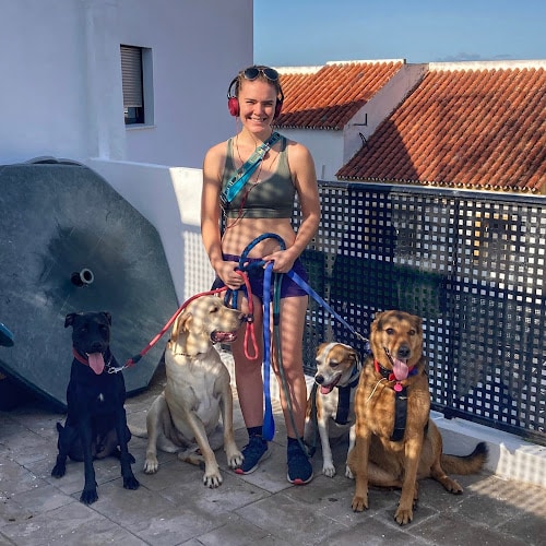 Negocio De Los Reyes Dog Hotel