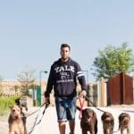 Dog & Life – Guardería Canina en Salamanca