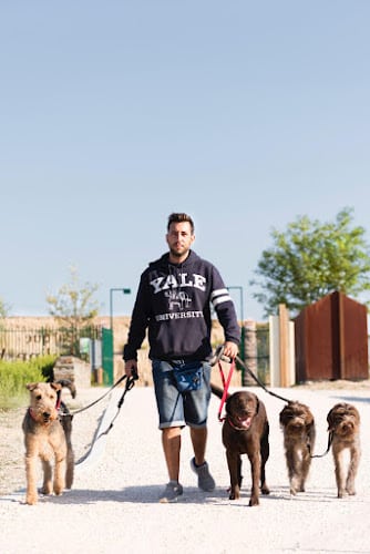 Negocio Dog & Life