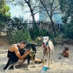 Dogged - Adiestramiento Canino – Guardería Canina en Gràcia