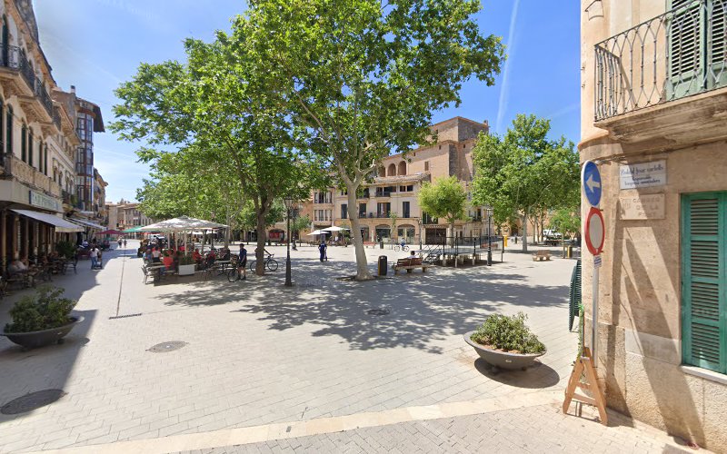 Negocio Doggy Deluxe Mallorca - Vip Resort & Spa