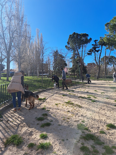 Negocio Dogmadrid Guardería Y Educación Canina
