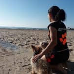 Dos Adiestramiento Canino En Madrid – Guardería Canina en Madrid