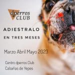 Dperros Club – Guardería Canina en Cabañas de Yepes