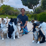 Educandog – Guardería Canina en Carabanchel