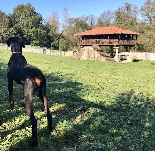 Negocio El Carbayón, Residencia Canina