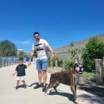 El Espolón – Guardería Canina en Torrejón de Ardoz