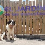 El Jardín De Las Mascotas – Guardería Canina en Tegueste