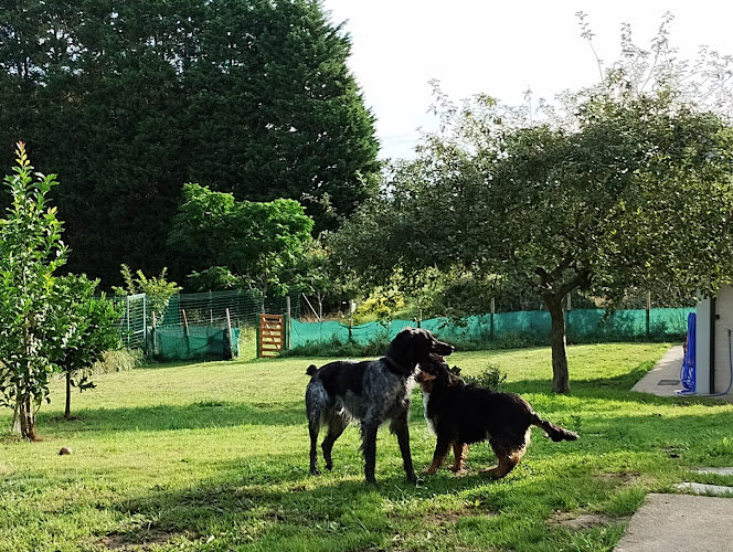 Negocio El Lugar Del Perro