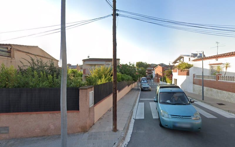 Negocio El Rey De La Casa Suit Para Perros