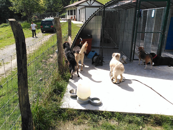 Negocio Erreka Hotel Canino Y Felino