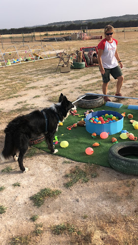 Negocio Escuela Canina Navarra (Esccan)