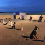 Escuela Canina Rytual-Kan – Guardería Canina en Almería
