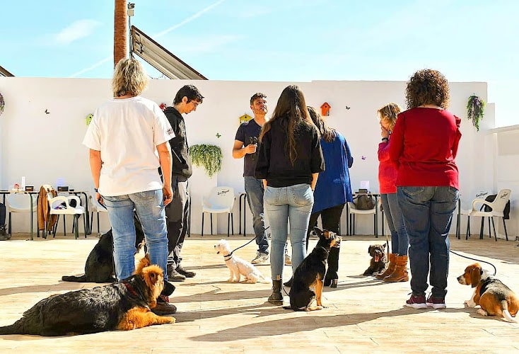 Negocio Escuela Educación Canina El Parque