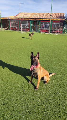 Escuela Residencia Canina Narub