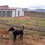 Escuela Y Residencia Canina Can De Luna – Guardería Canina en Don Álvaro