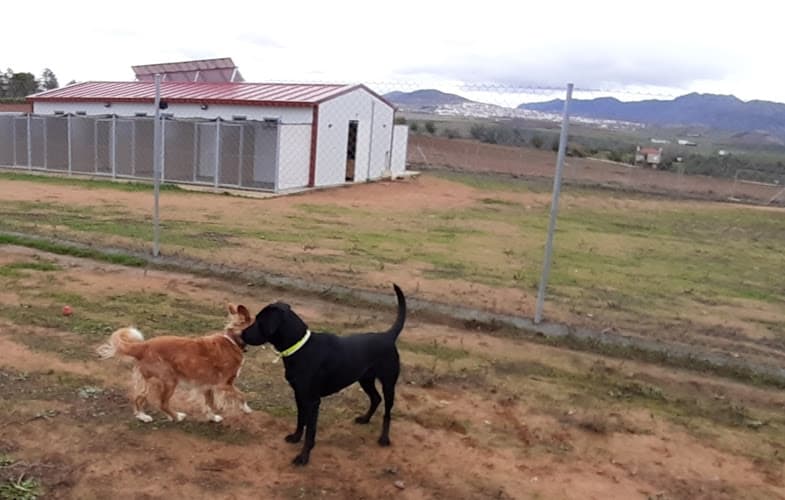 Escuela Y Residencia Canina Can De Luna