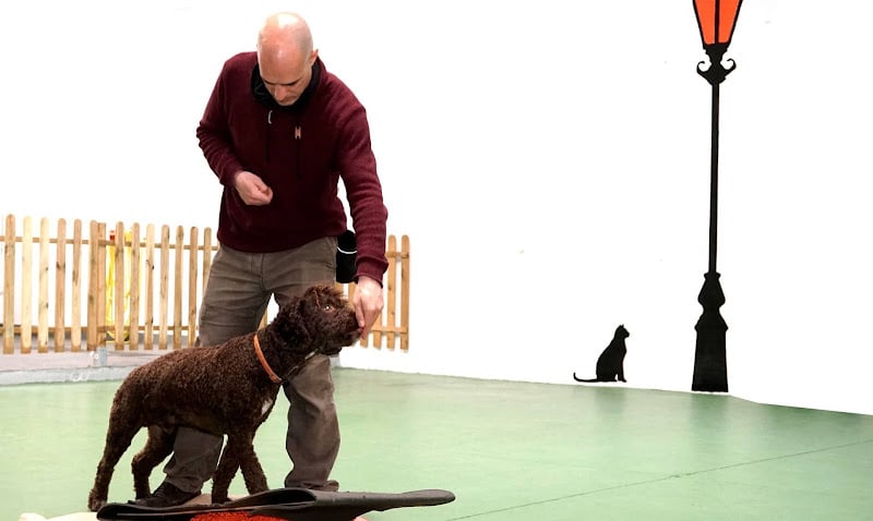 Negocio Eurekan! Etologo Felino Y Canino