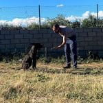 Extraperrestres – Guardería Canina en Sariegos del Bernesga