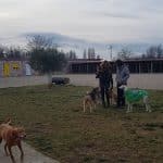 Fanycan – Guardería Canina en Palencia