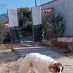 Five Bone Pet Hotel – Guardería Canina en Garrucha