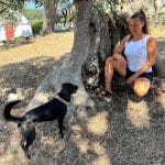 Gina Bienstar Canino - Educación Canina - Adiestramiento Canino – Guardería Canina en Eixample
