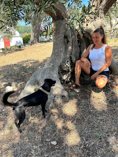 Gina Bienstar Canino - Educación Canina - Adiestramiento Canino