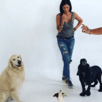 Golden Royal Stars – Guardería Canina en Montroi