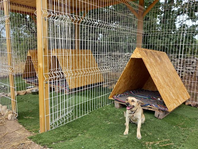 Negocio Guardería Canina Del Camping Arribes Del Duero