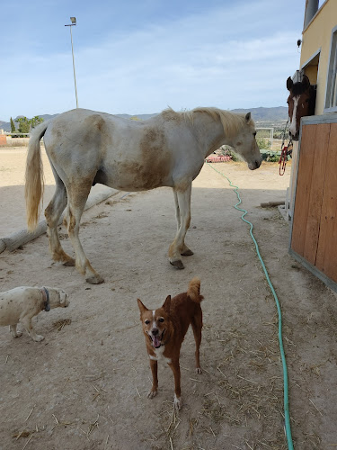Negocio Guardería Canina El Pinar