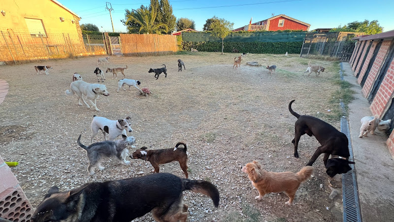 Negocio Guardería Mascotas Ararauna