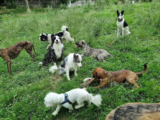 Guardog