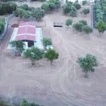 Guau Adiestramiento – Guardería Canina en Onda