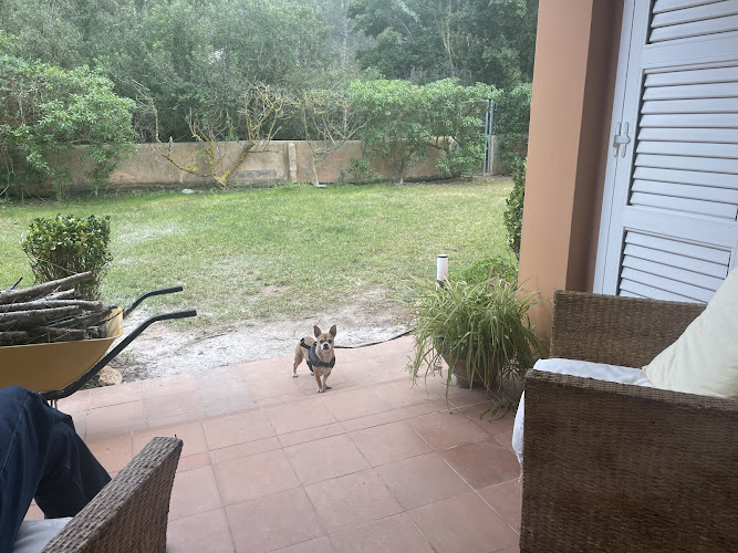 Negocio Guía Emocional Canina