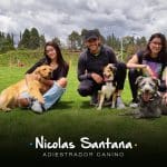 Haciendo Vinculo – Guardería Canina en Sarrià-Sant Gervasi