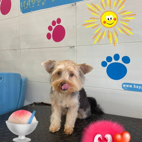 Negocio Happy Doggies