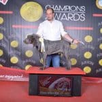 Hercocán – Guardería Canina en Guadamur
