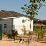 Hotel Caní Asiatic Park. Residencia Canina. – Guardería Canina en Aielo de Malferit