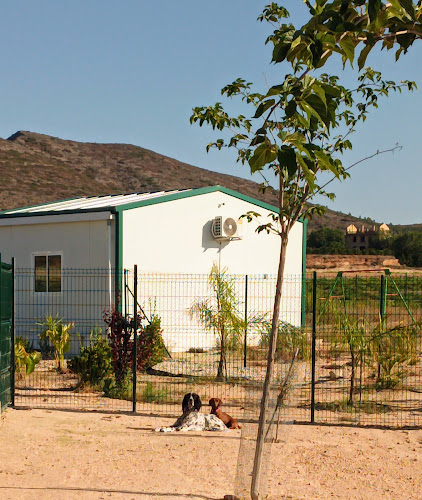 Negocio Hotel Caní Asiatic Park. Residencia Canina.
