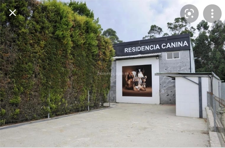 Negocio Hotel Canino A Raposeira 2