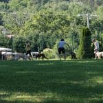 Hotel Canino Aiartza – Guardería Canina en Loiu