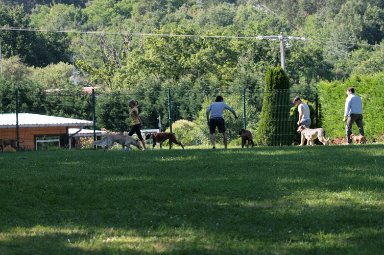 Negocio Hotel Canino Aiartza