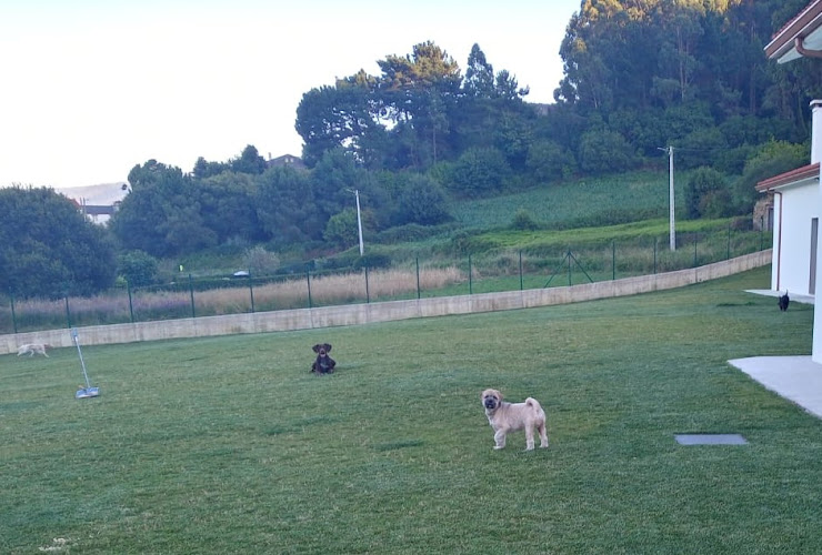 Negocio Hotel Canino Aulacan