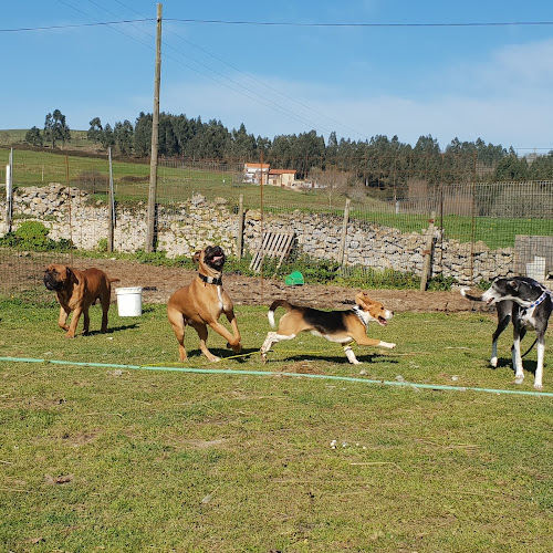 Negocio Hotel Canino Don Y Doña Equi- Guau