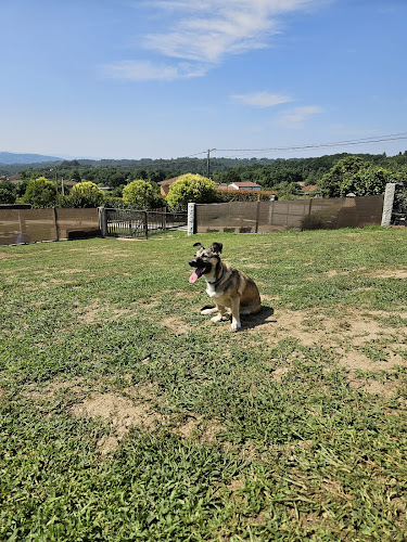 Negocio Hotel Canino Gardacan